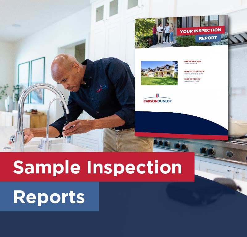 Sample inspection reports